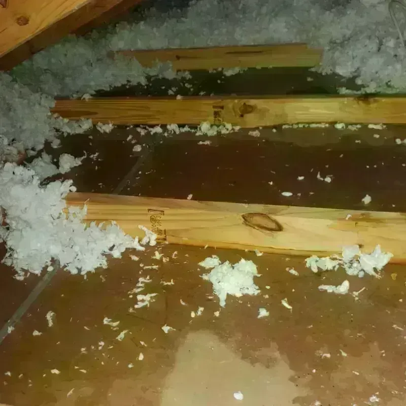 Attic Water Damage in Lane County, OR