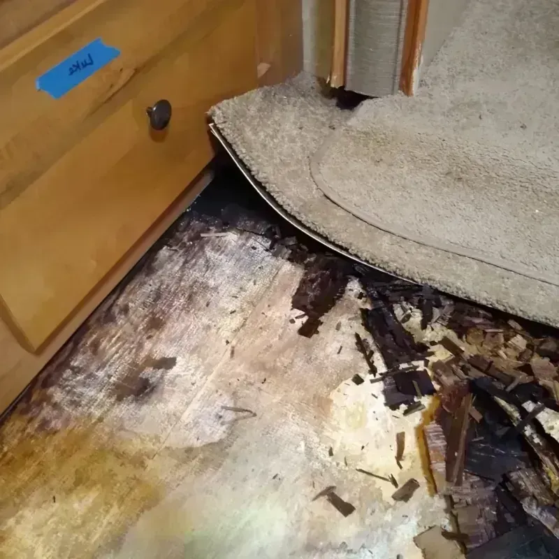 Wood Floor Water Damage in Lane County, OR